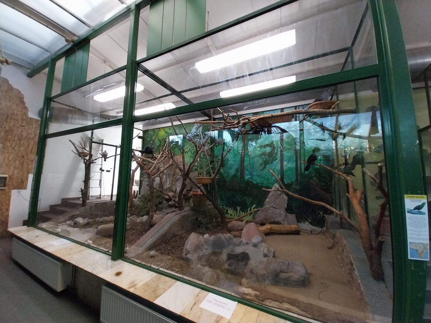 Tropical Birdhouse - Pigeon aviary