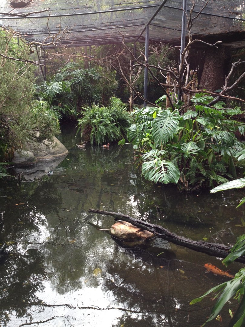 Tropical Birds Aviary