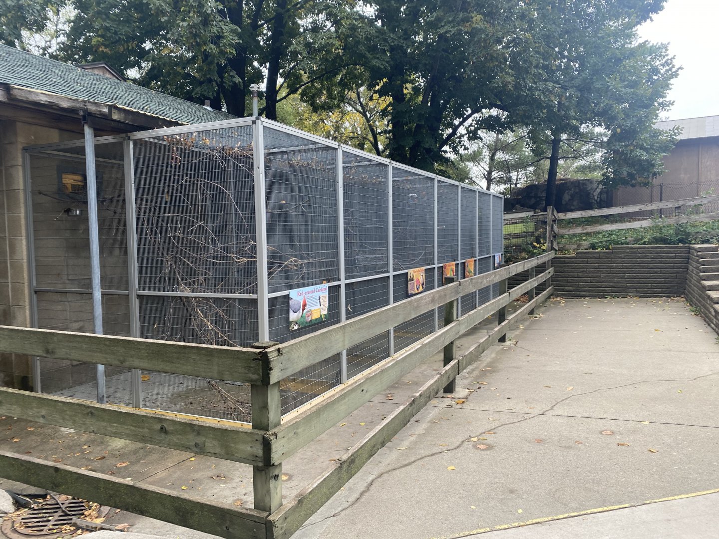 Tropical Birds Cages