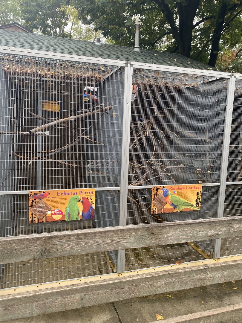 Tropical Birds - Eclectus Parrot & “Rainbow” Lorikeet Exhibits