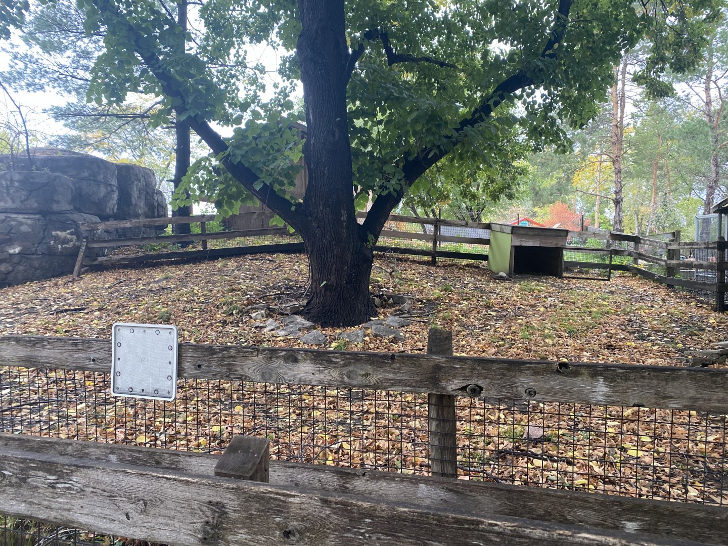 Tropical Birds - Empty Exhibit