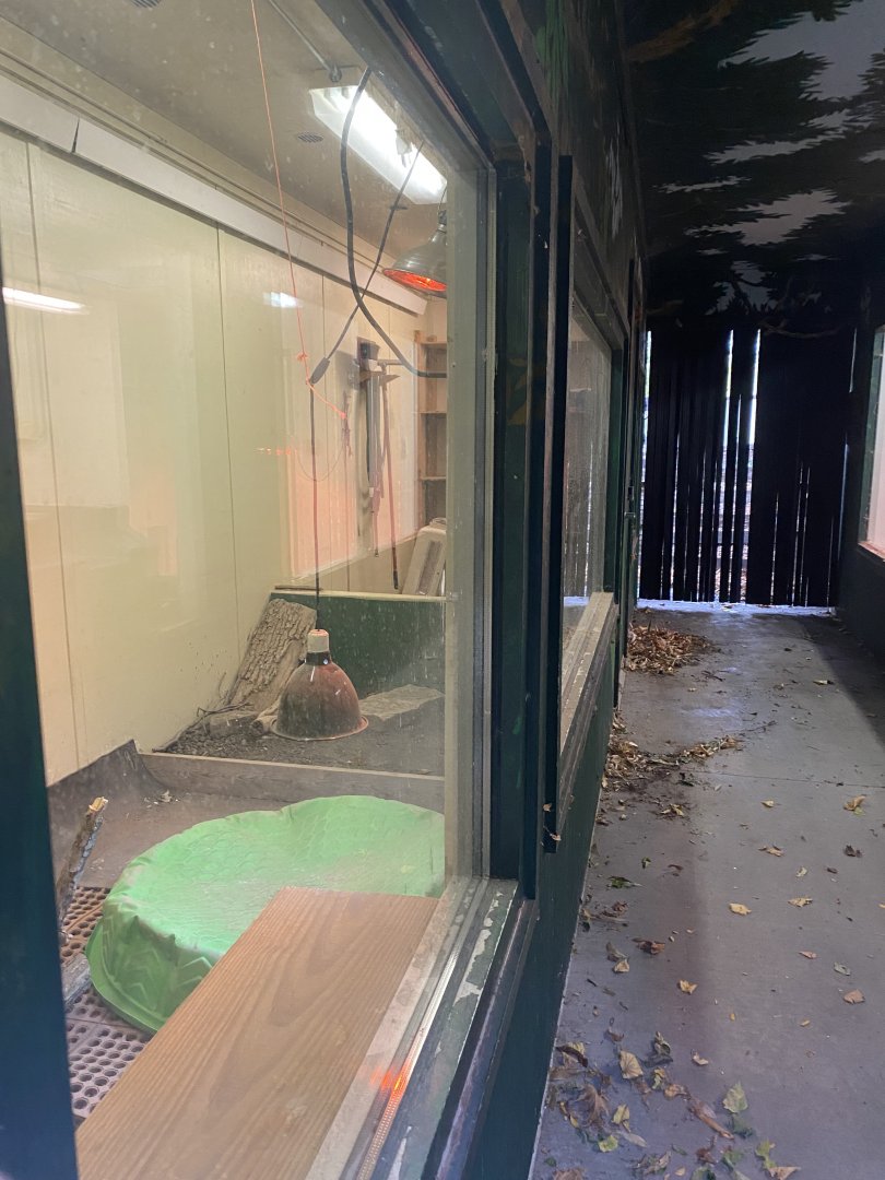 Tropical Birds - Galapagos Tortoise & Chinese Alligator Indoor Exhibits