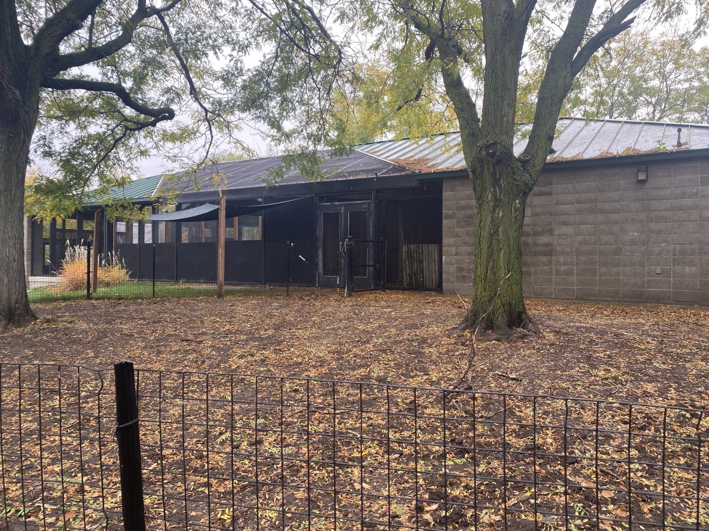 Tropical Birds - Galapagos Tortoise Exhibit