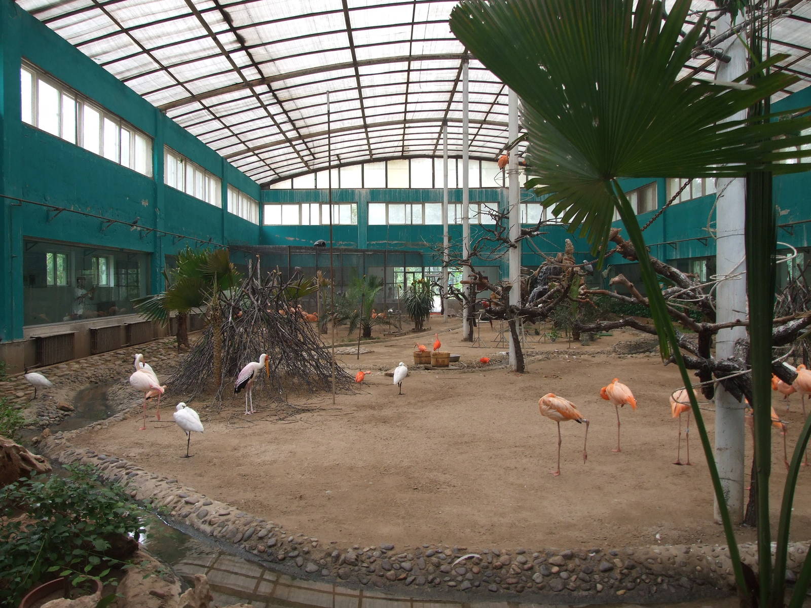 Tropical Birds House