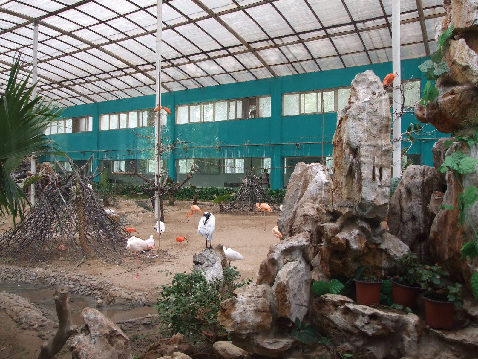 Tropical Birds House