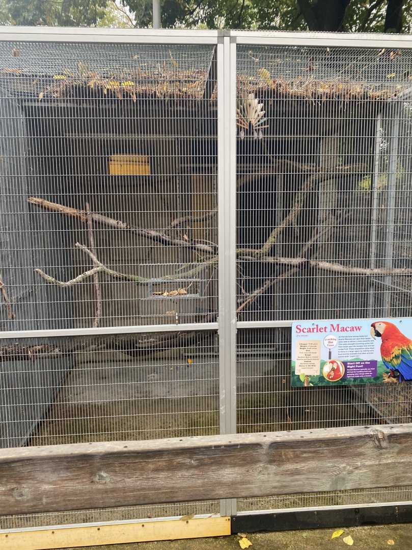Tropical Birds - Scarlet Macaw Exhibit