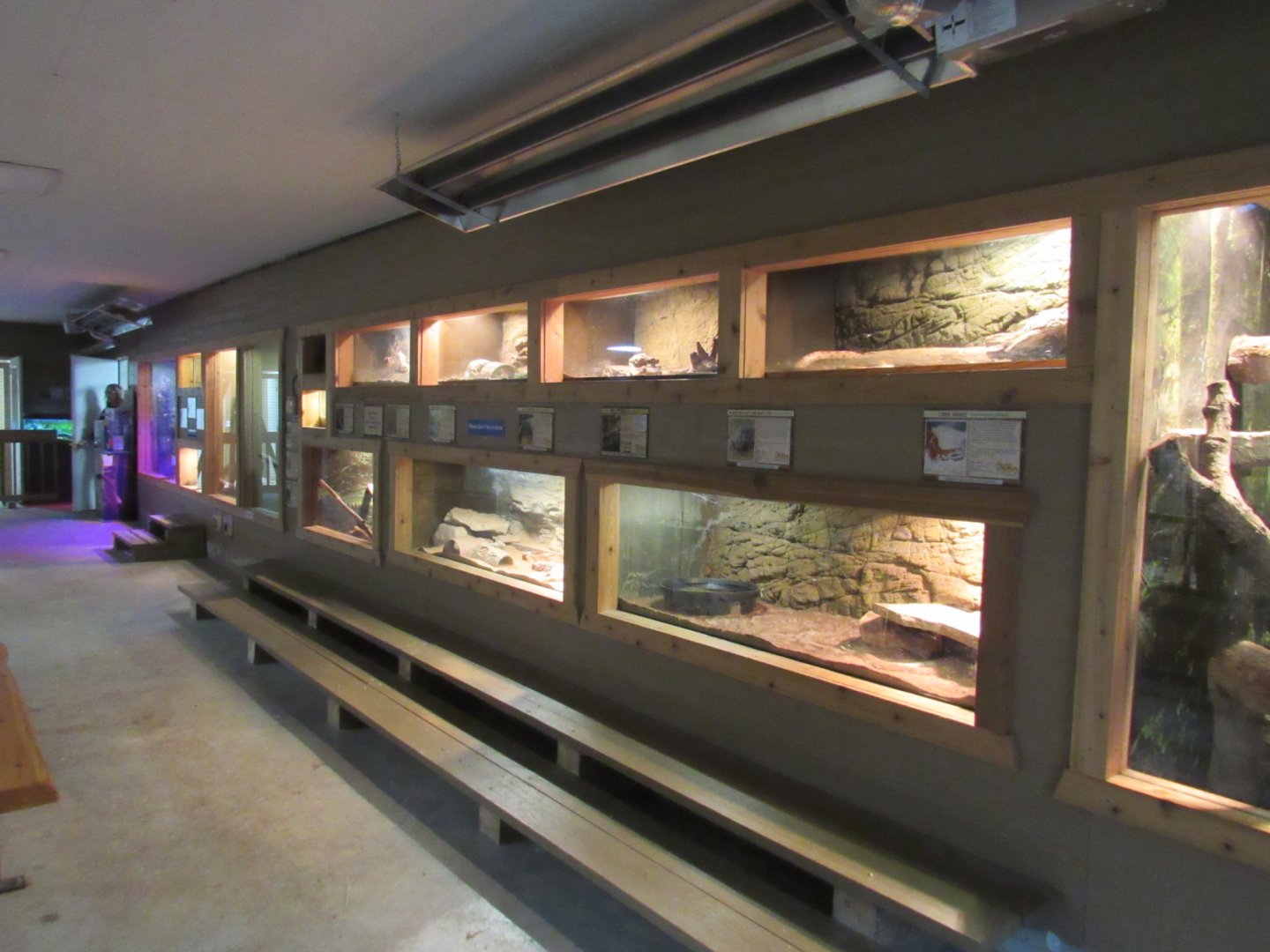 Tropical Building Reptile Exhibits