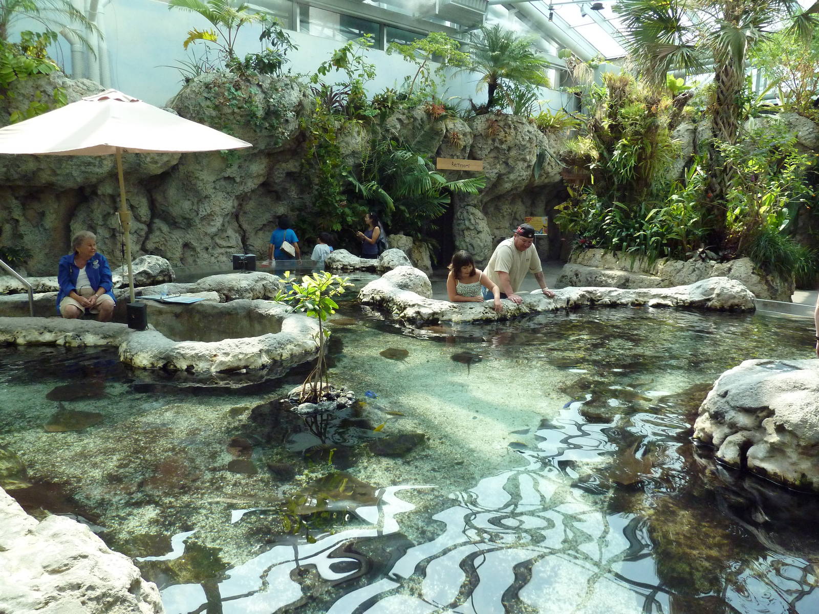 Tropical Cove - Stingray/Shark Touch Tank