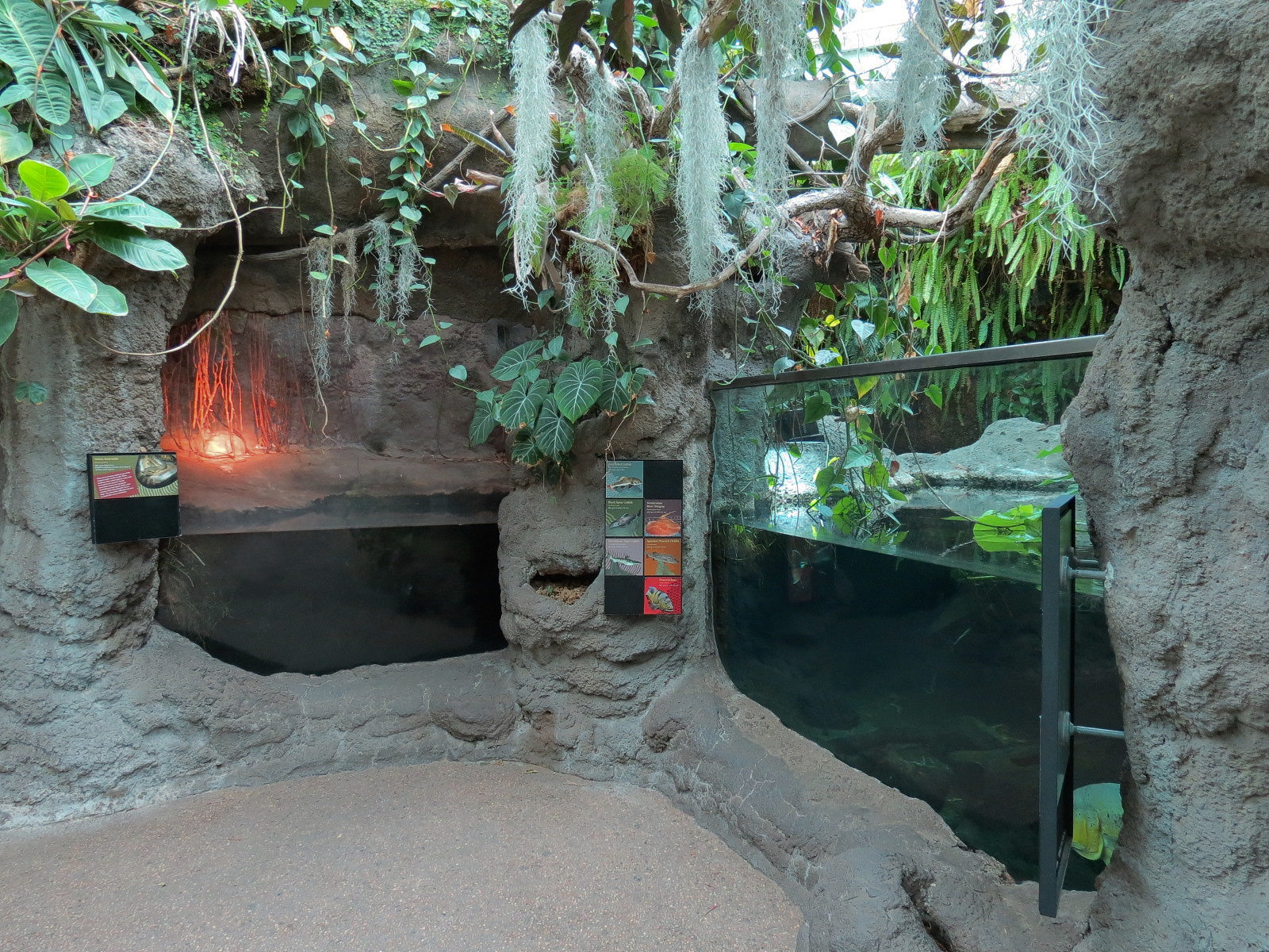 Tropical Discovery - Amazon Fish Exhibit and Green Anaconda Exhibit