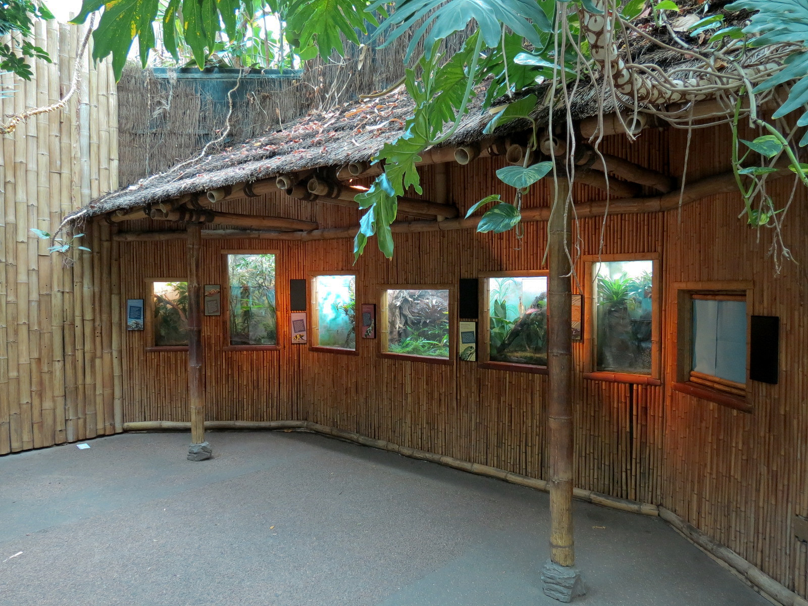 Tropical Discovery - Amphibian Exhibits
