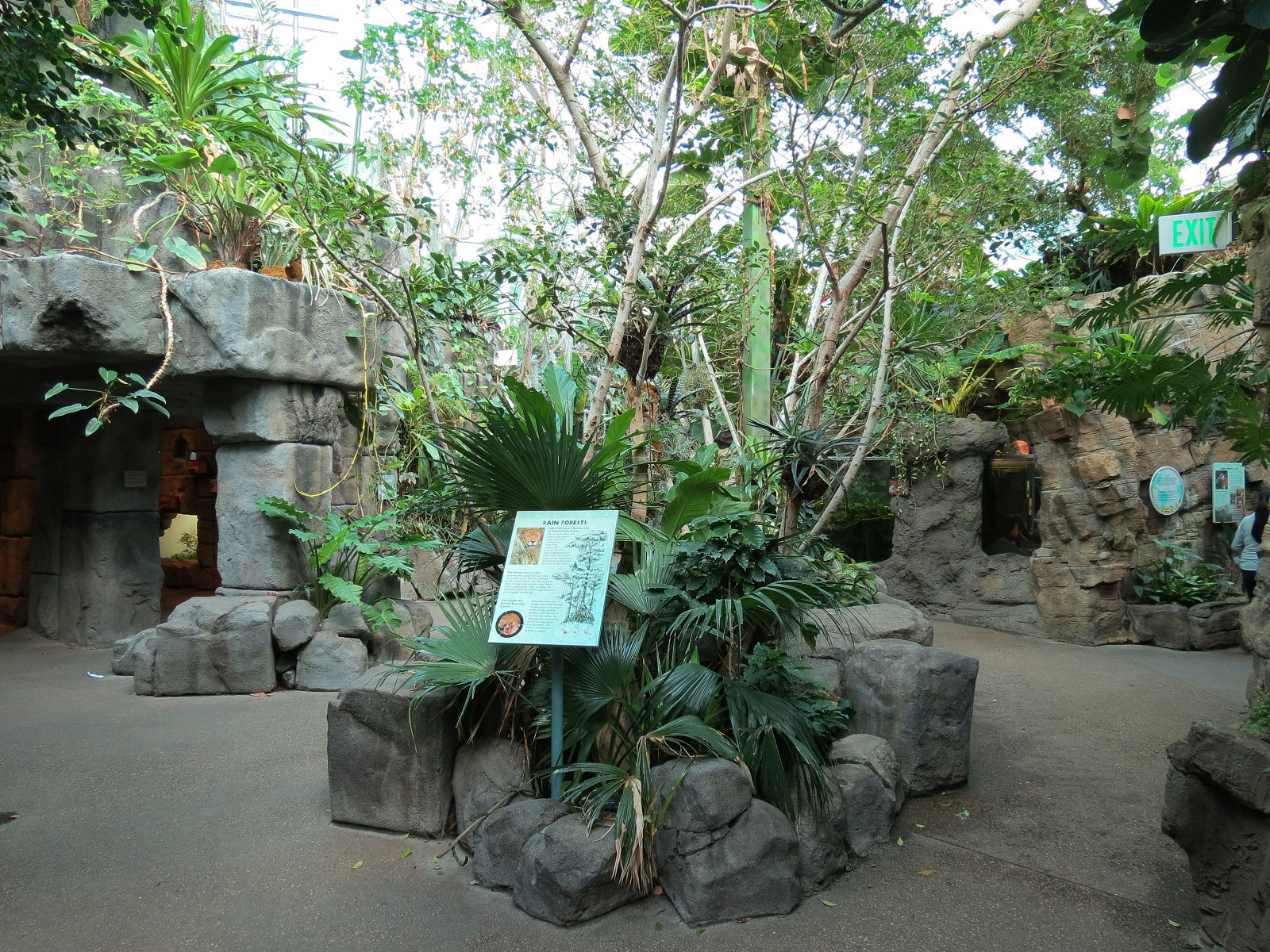 Tropical Discovery - Atrium