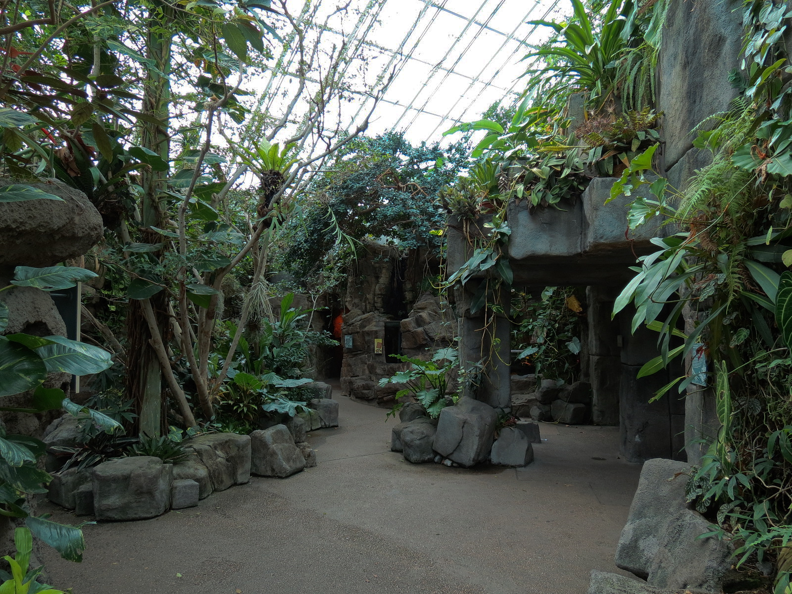 Tropical Discovery - Atrium