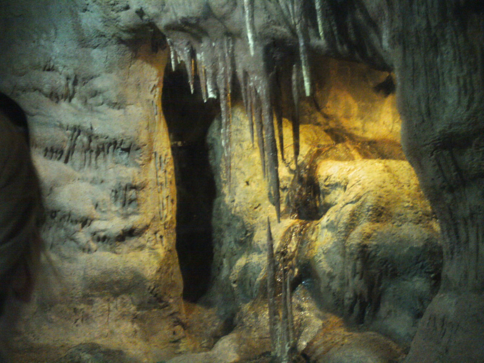 tropical discovery-bat cave