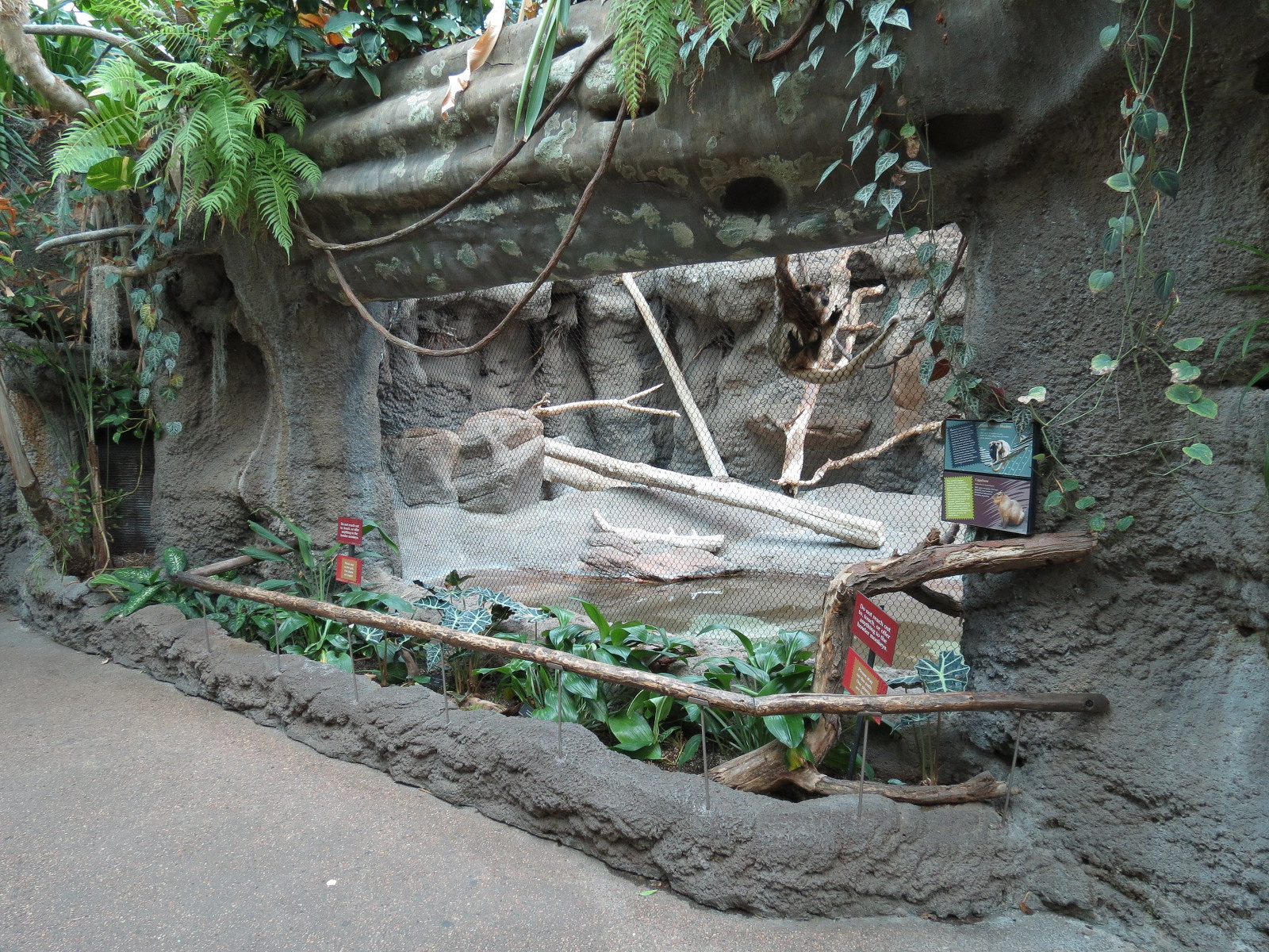 Tropical Discovery - Black Howler Monkey and Capybara Exhibit