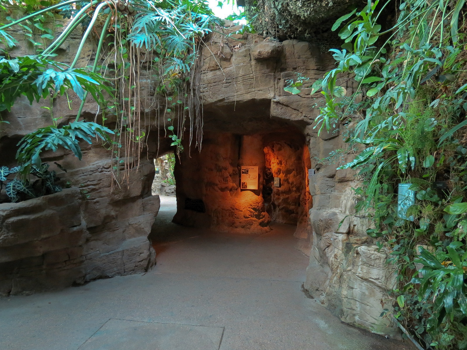 Tropical Discovery - Cave Entry