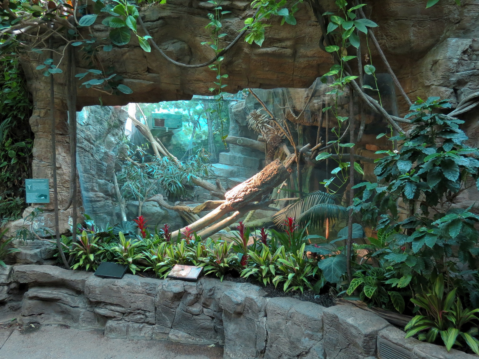 Tropical Discovery - Crocodile Monitor Exhibit