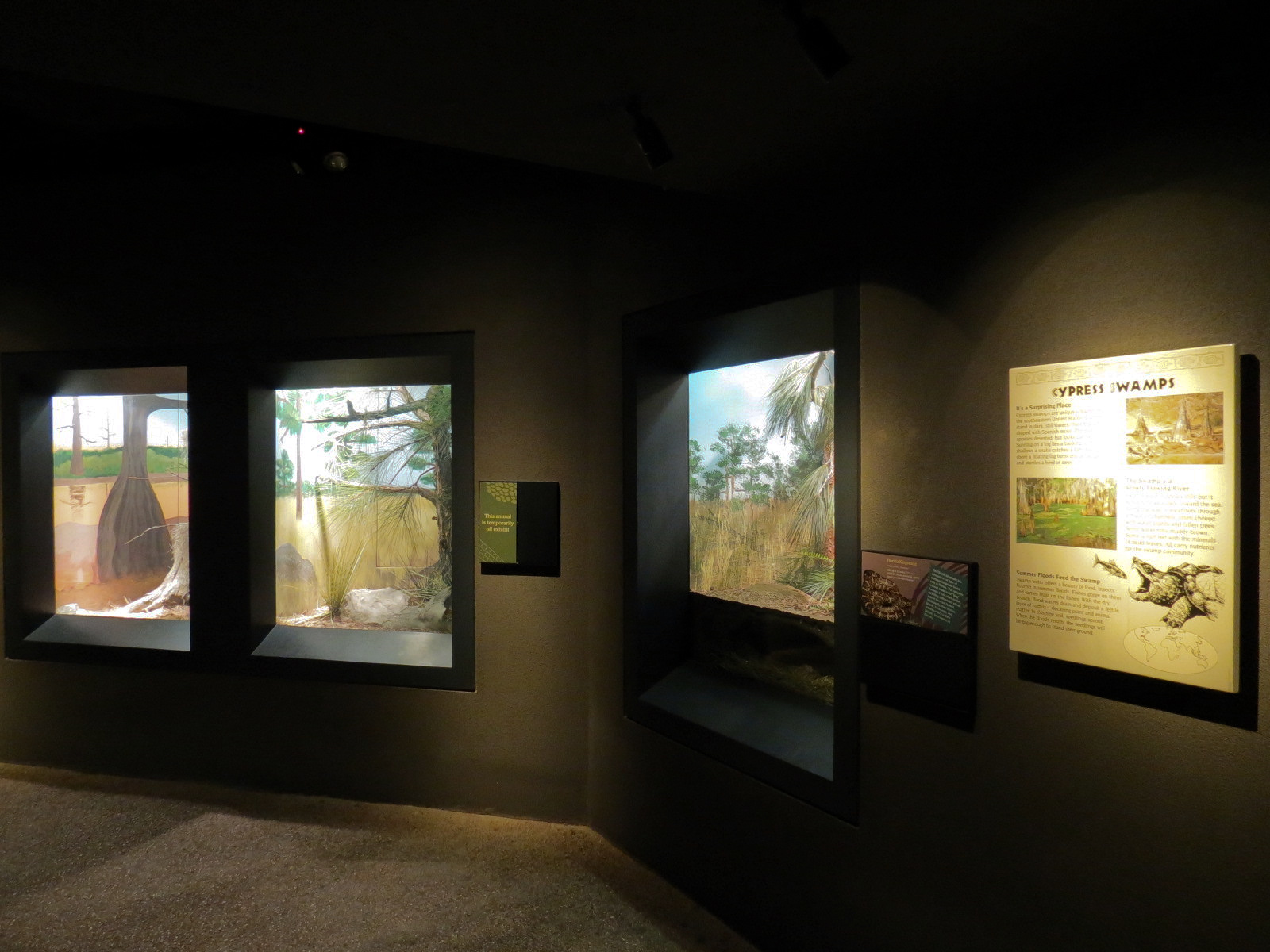 Tropical Discovery - Cypress Swamps Exhibits