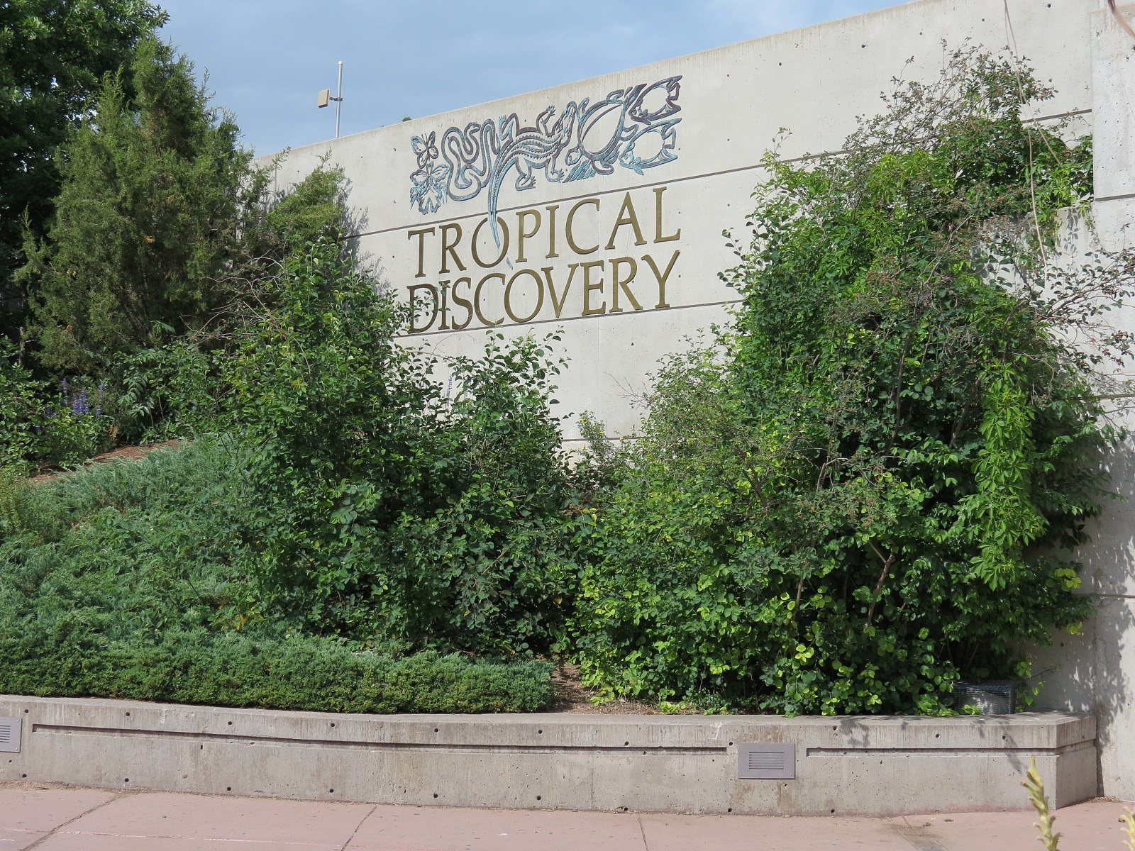Tropical Discovery - Exterior