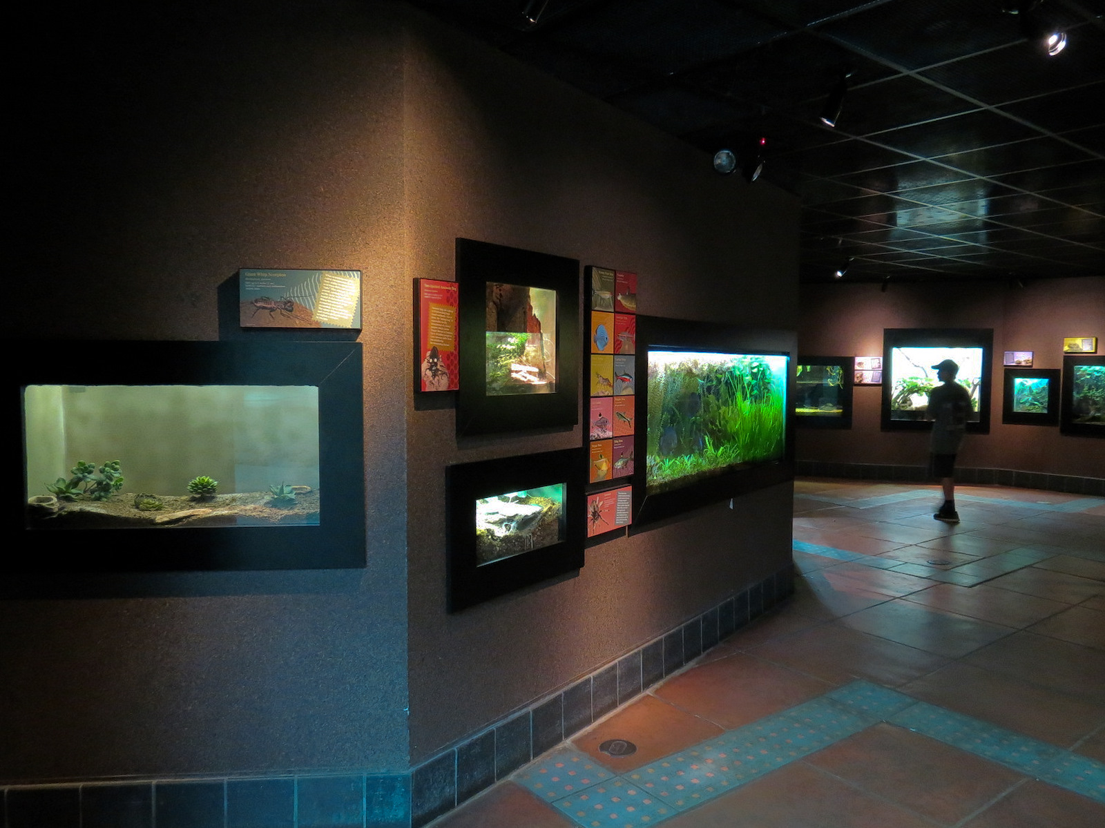 Tropical Discovery - Final Hallway Exhibits