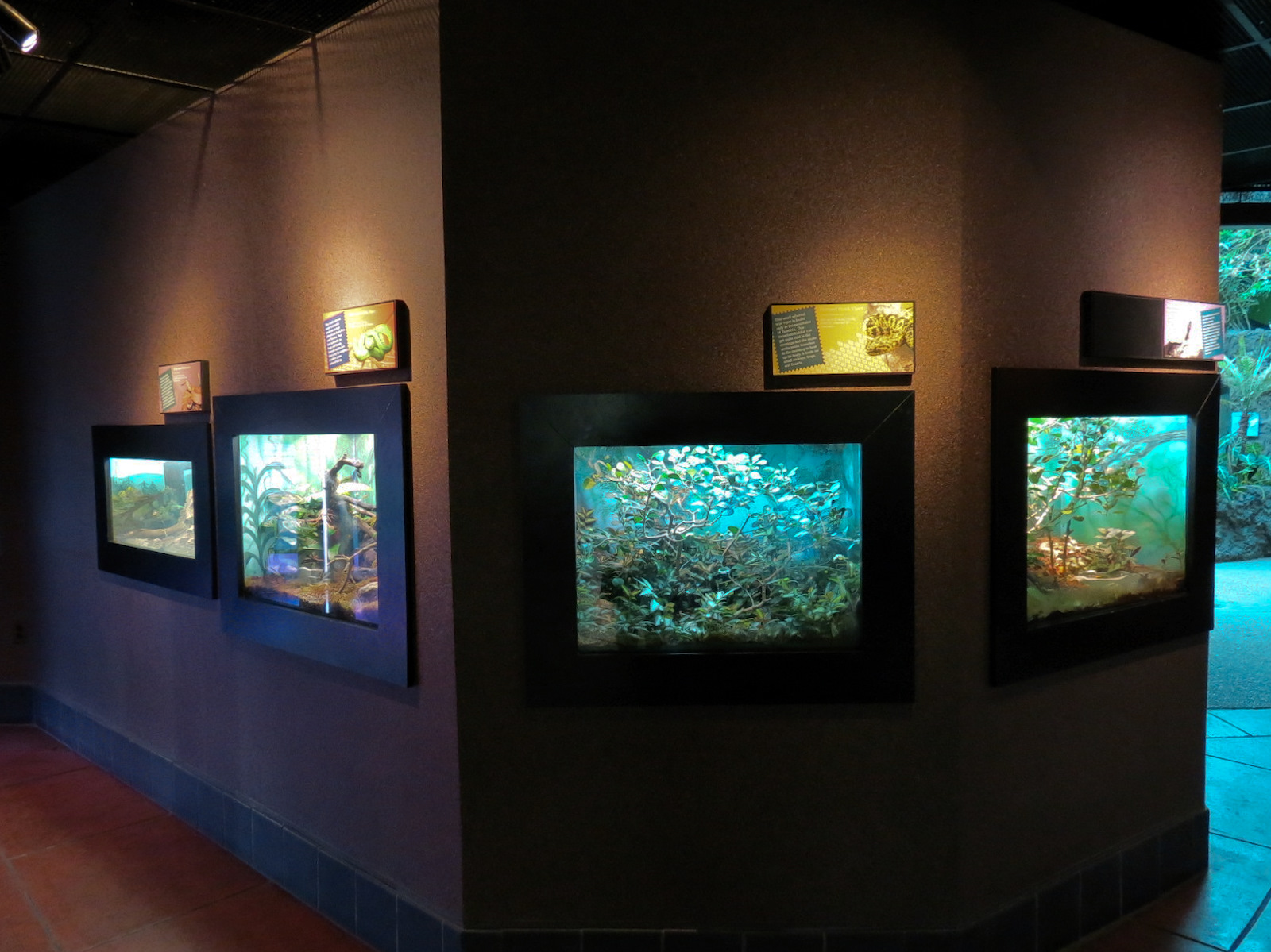 Tropical Discovery - Final Hallway Exhibits