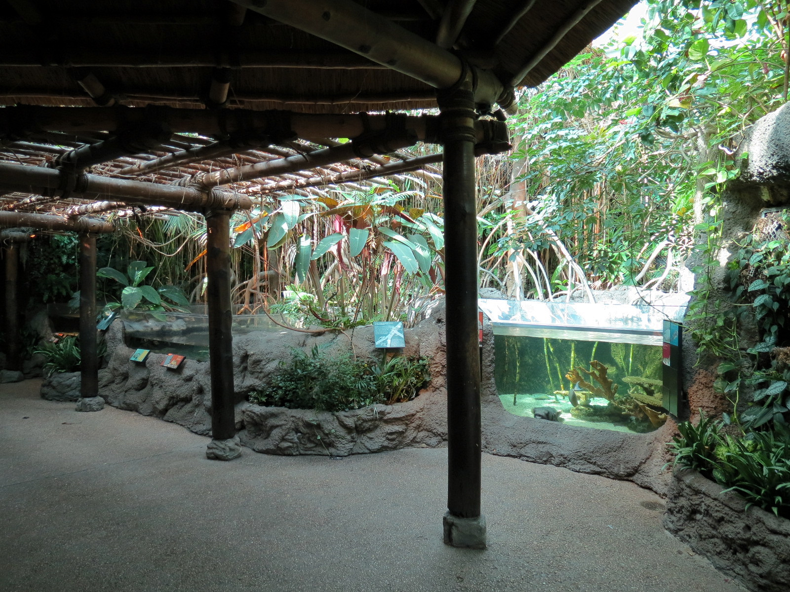 Tropical Discovery - Fish Exhibits