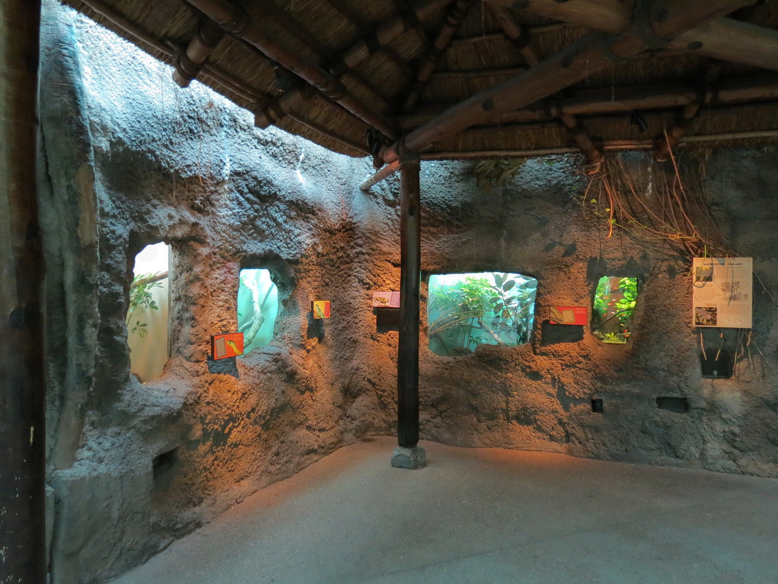 Tropical Discovery - Hut Exhibits