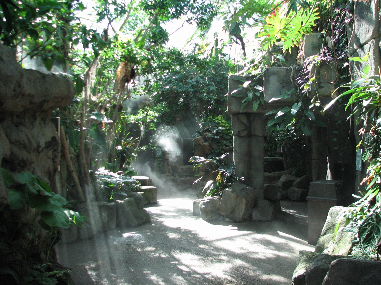 Tropical Discovery - Interior