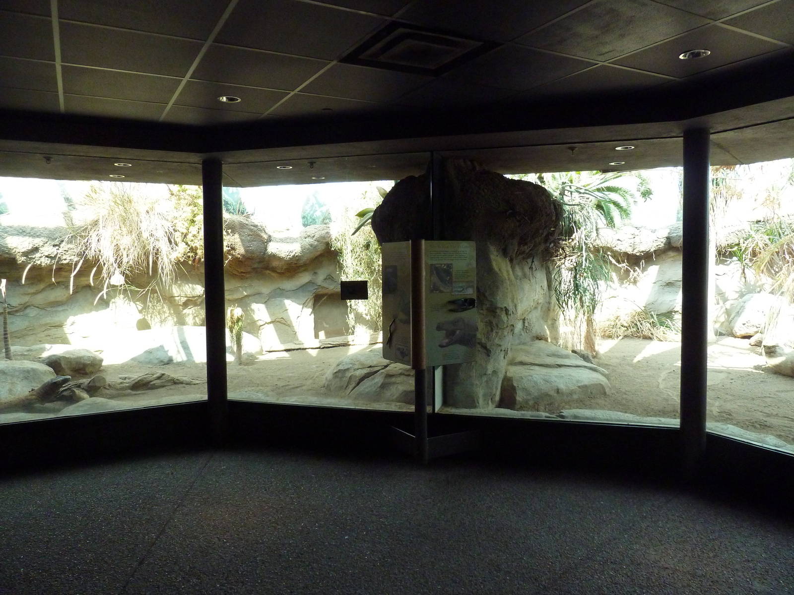 Tropical Discovery - Komodo Dragon Exhibits