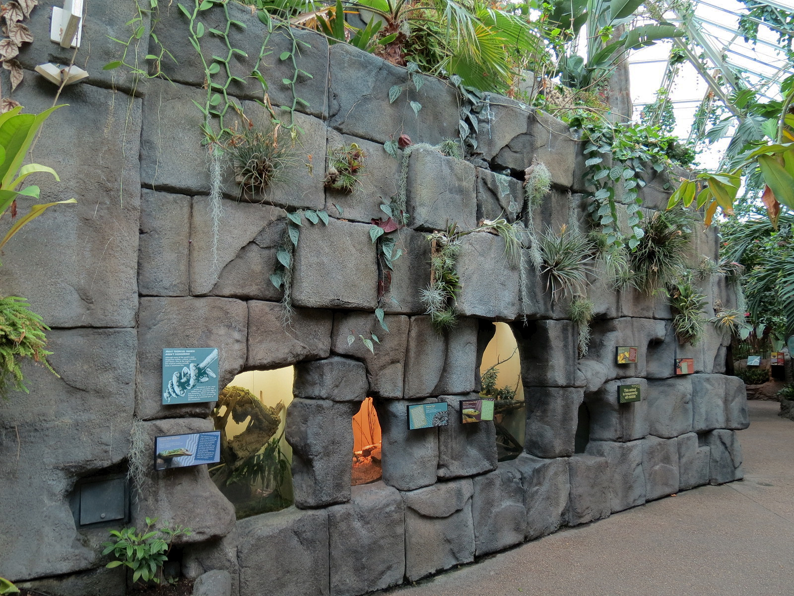 Tropical Discovery - Reptile Exhibits