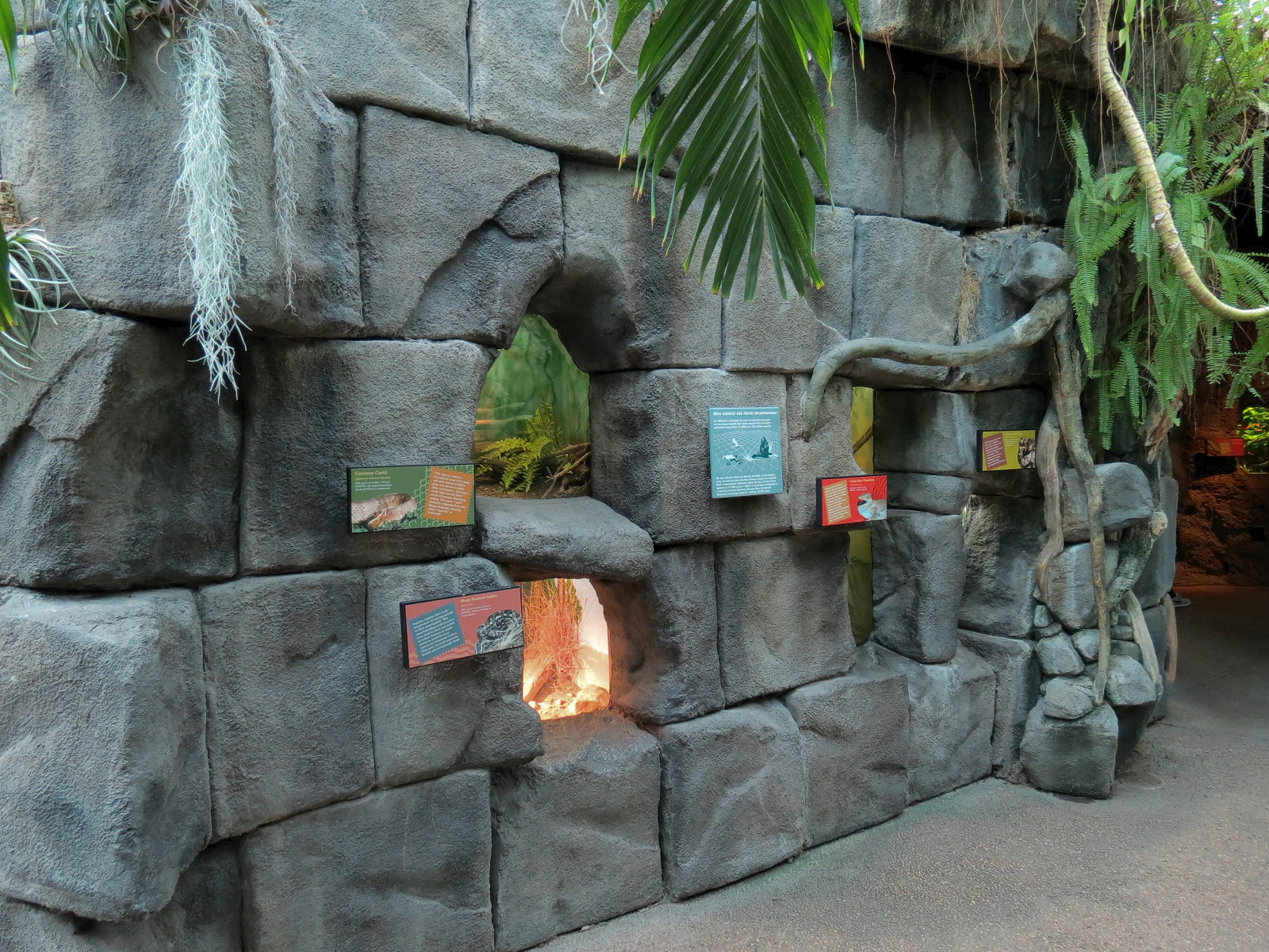 Tropical Discovery - Reptile Exhibits