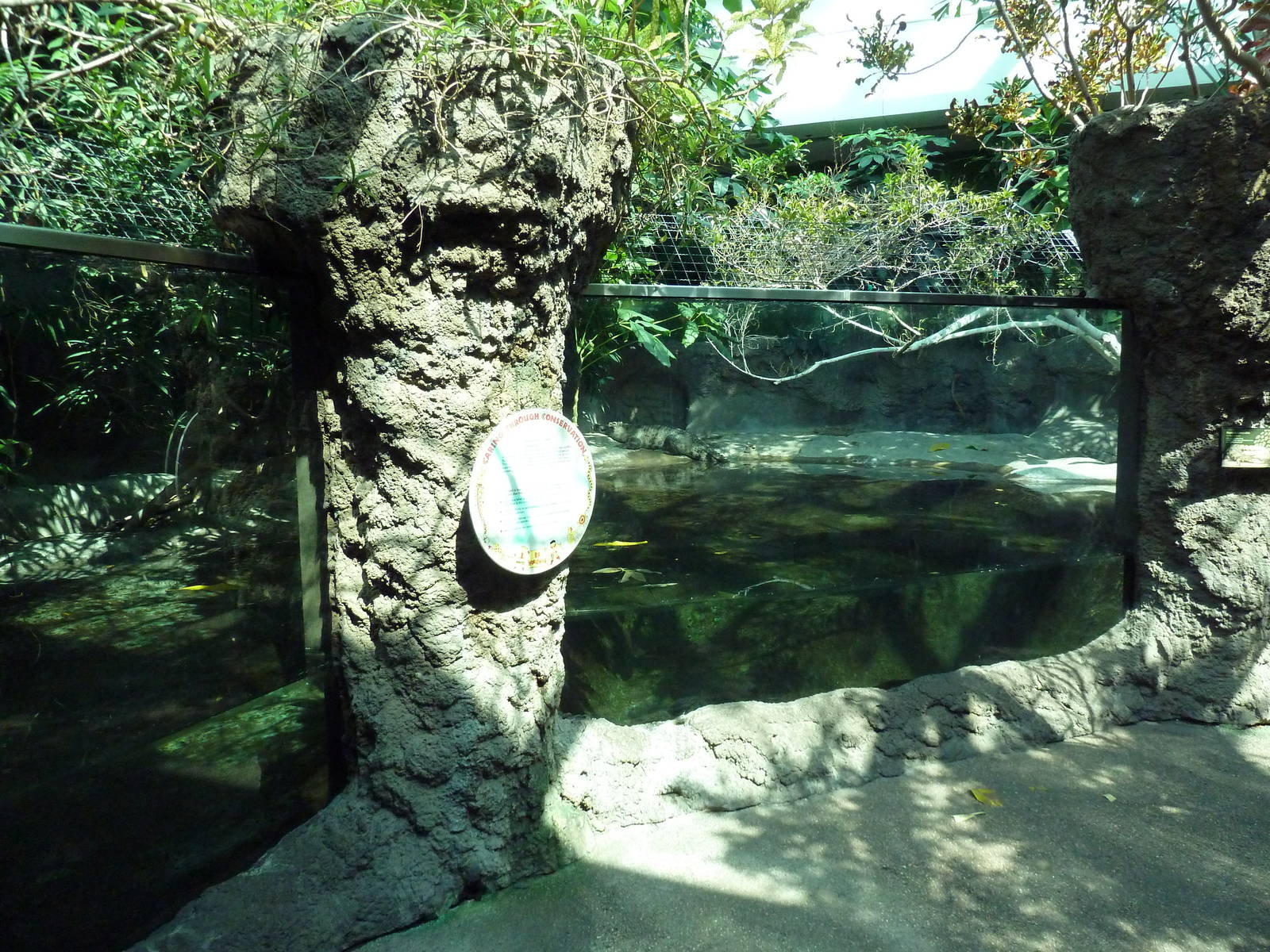 Tropical Discovery - Siamese Crocodile Exhibit