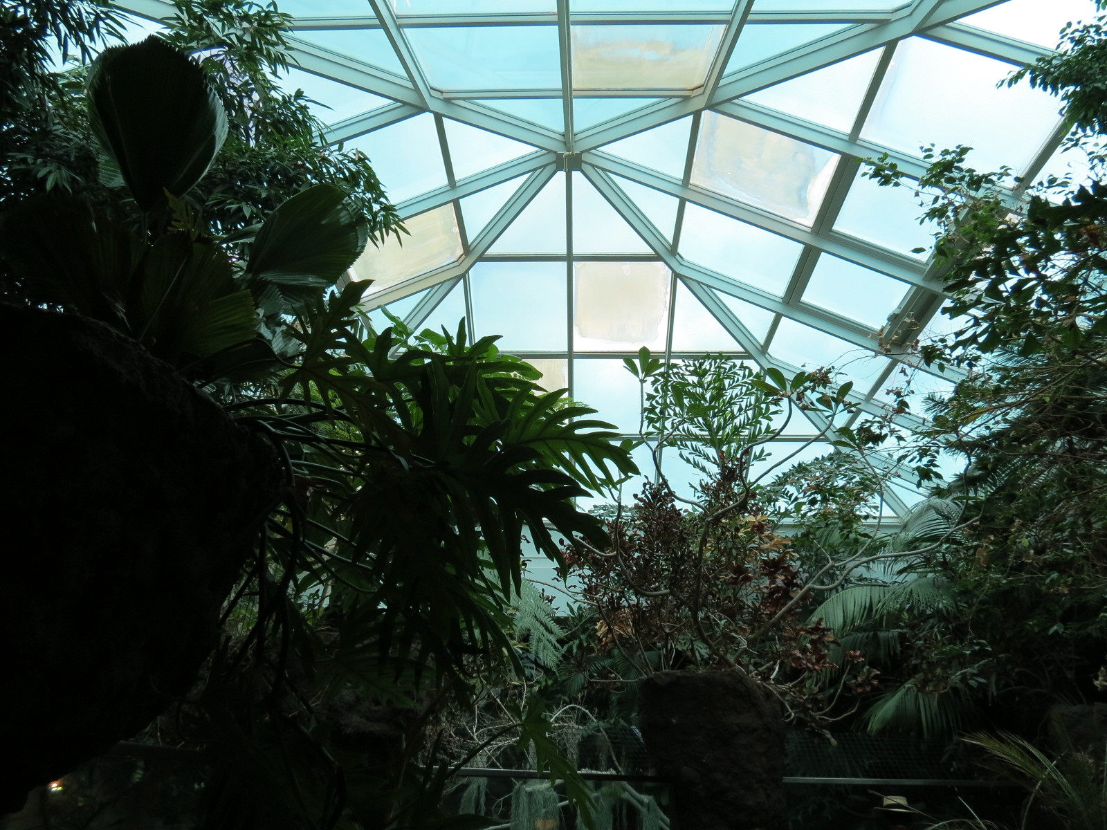 Tropical Discovery - Siamese Crocodile Exhibit