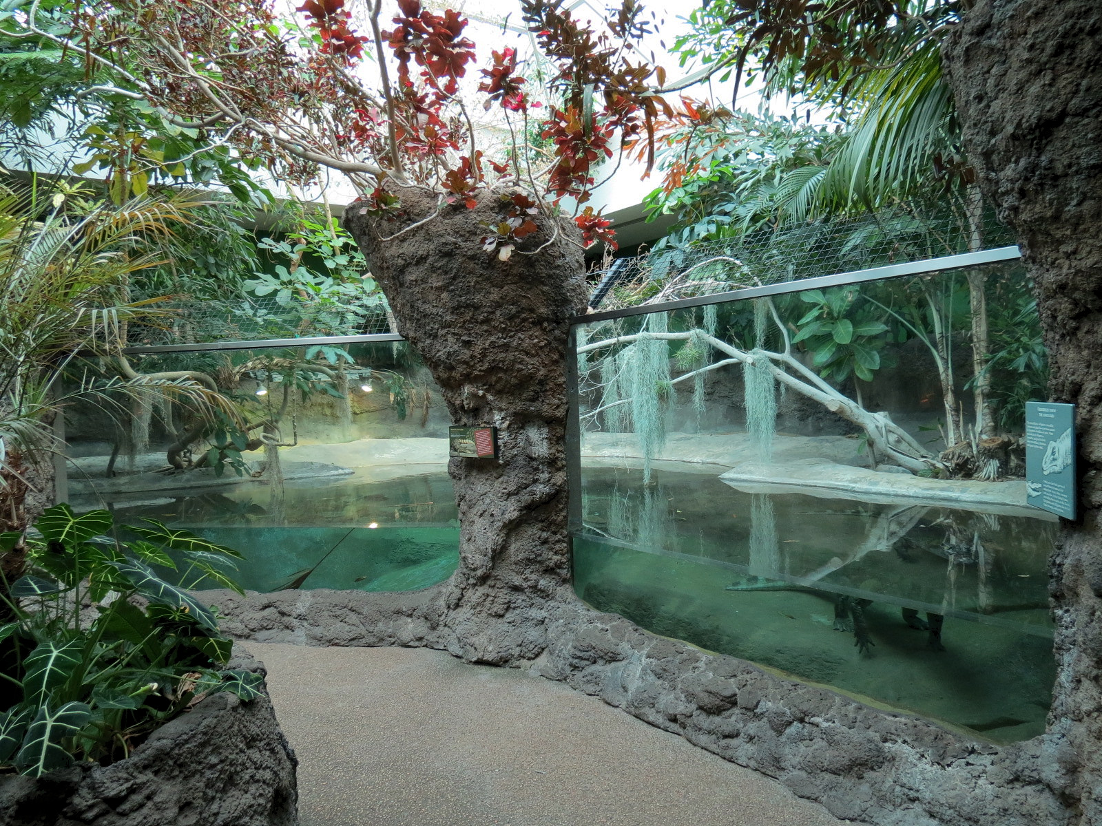 Tropical Discovery - Siamese Crocodile Exhibit