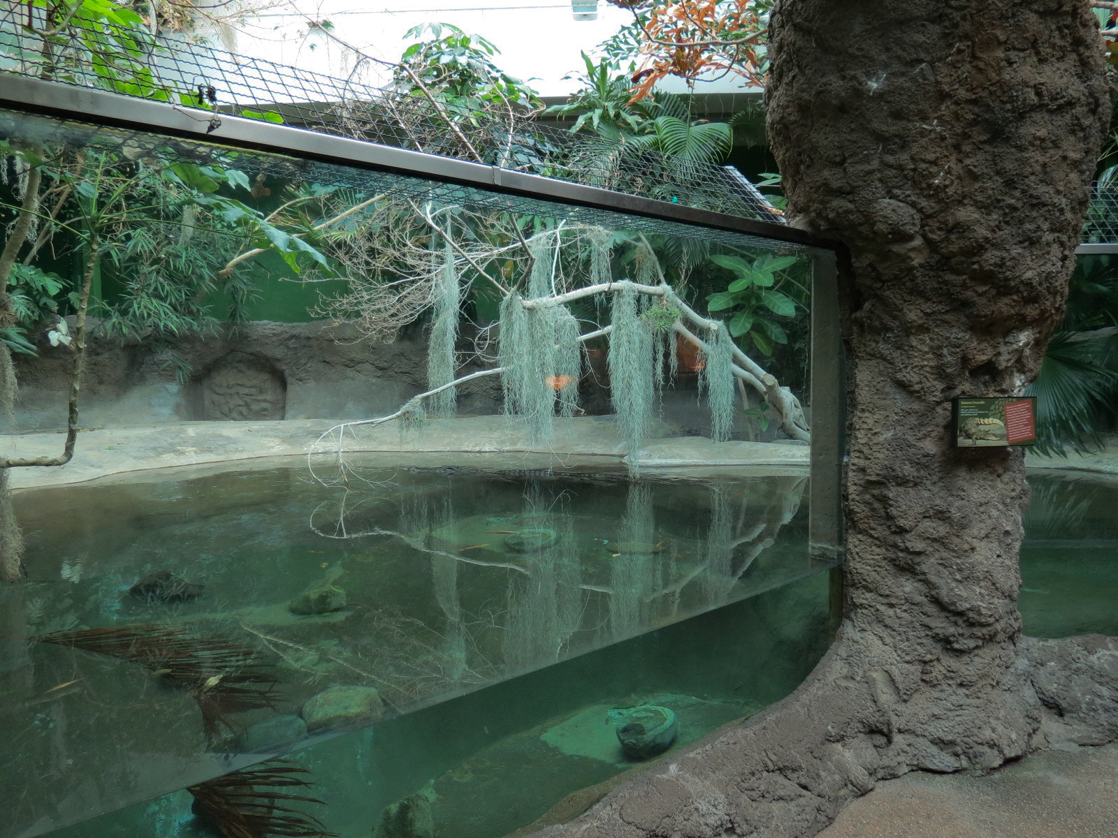 Tropical Discovery - Siamese Crocodile Exhibit