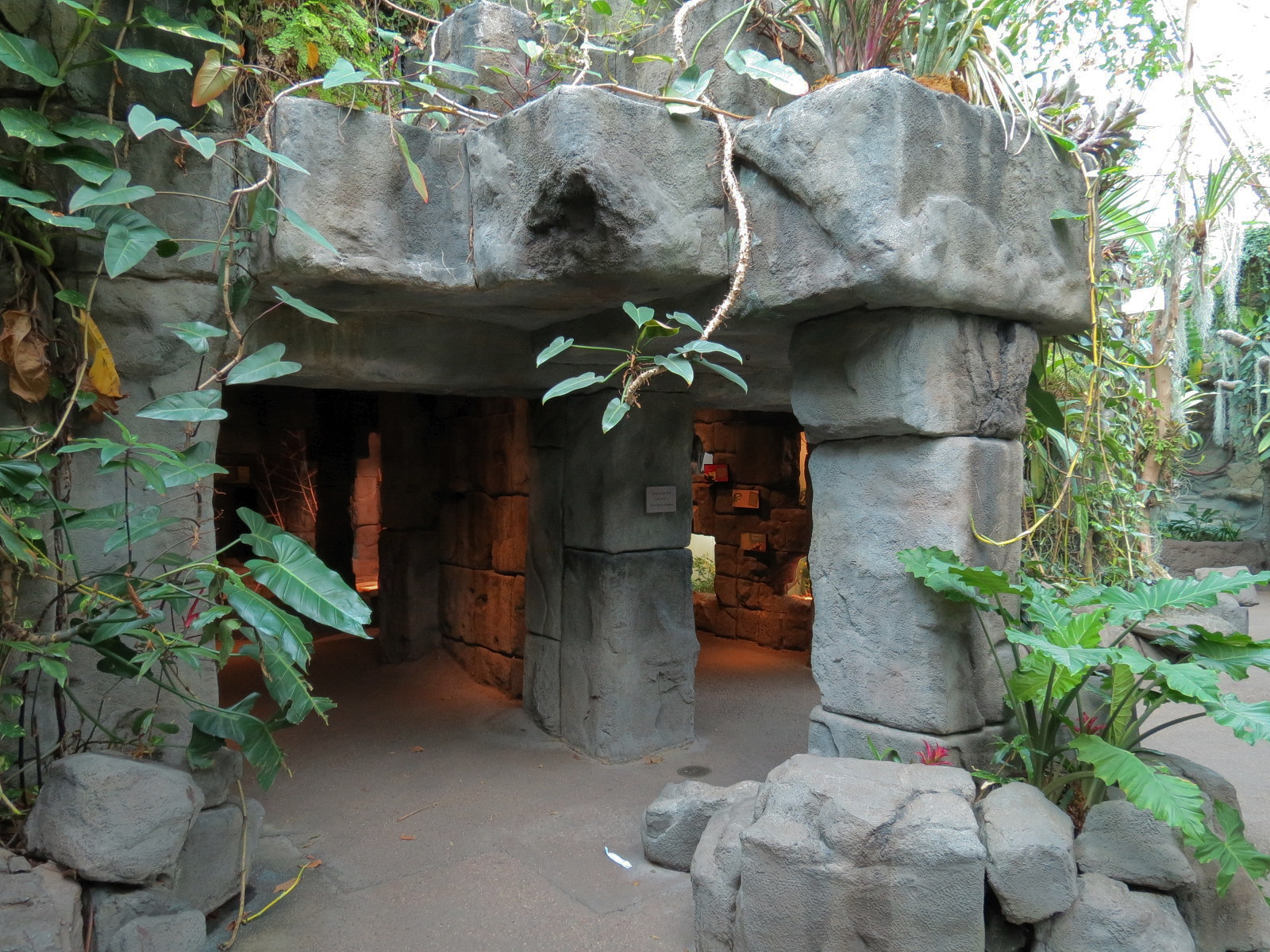 Tropical Discovery - Temple Entry