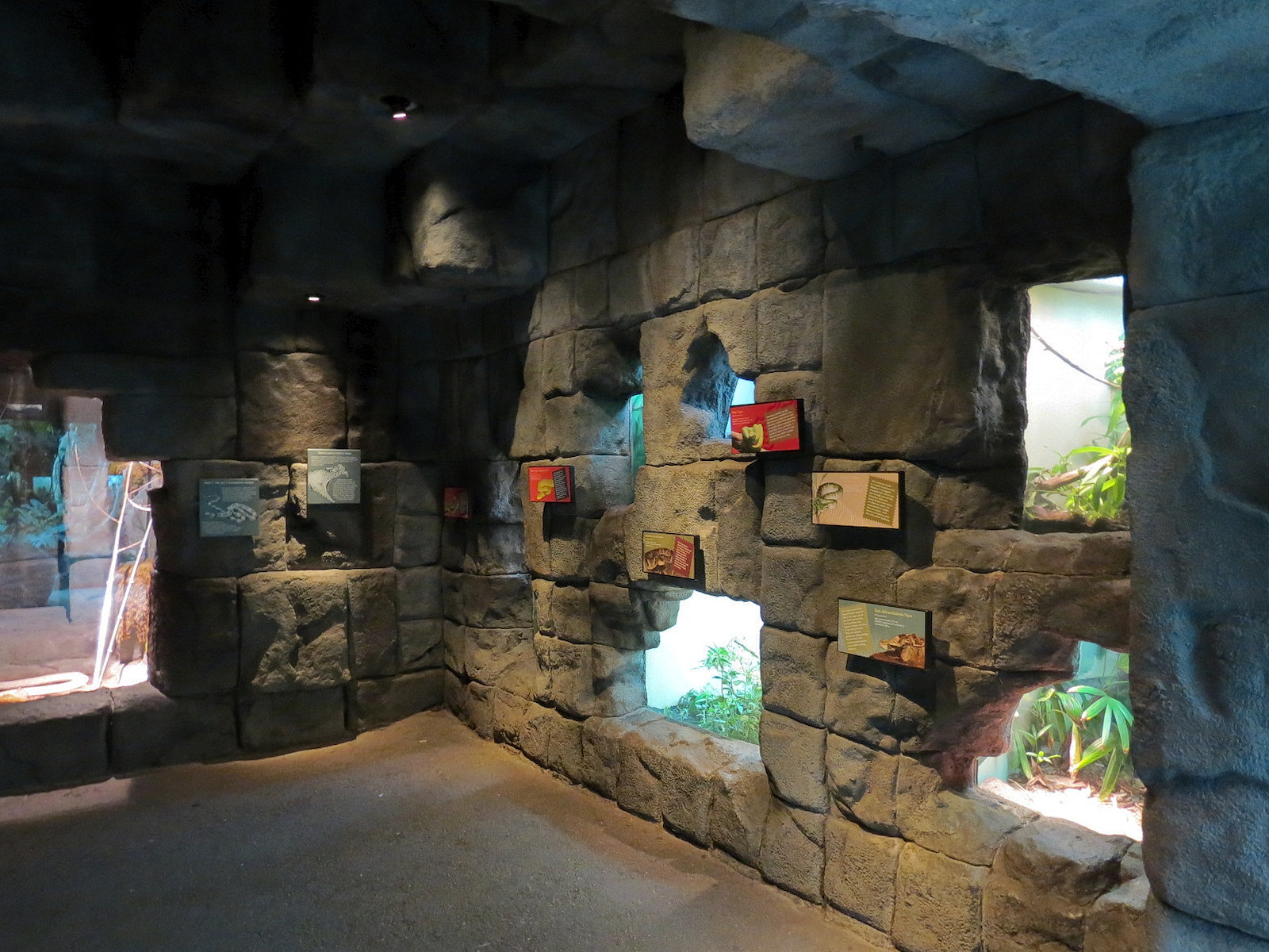 Tropical Discovery - Temple Exhibits
