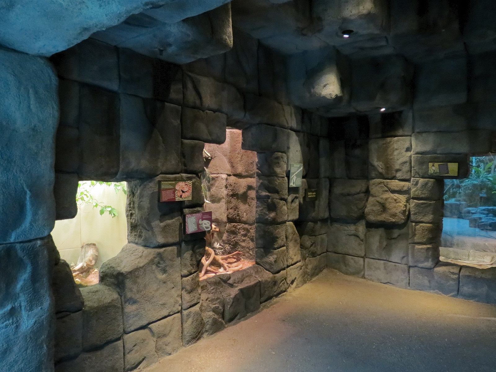 Tropical Discovery - Temple Interior