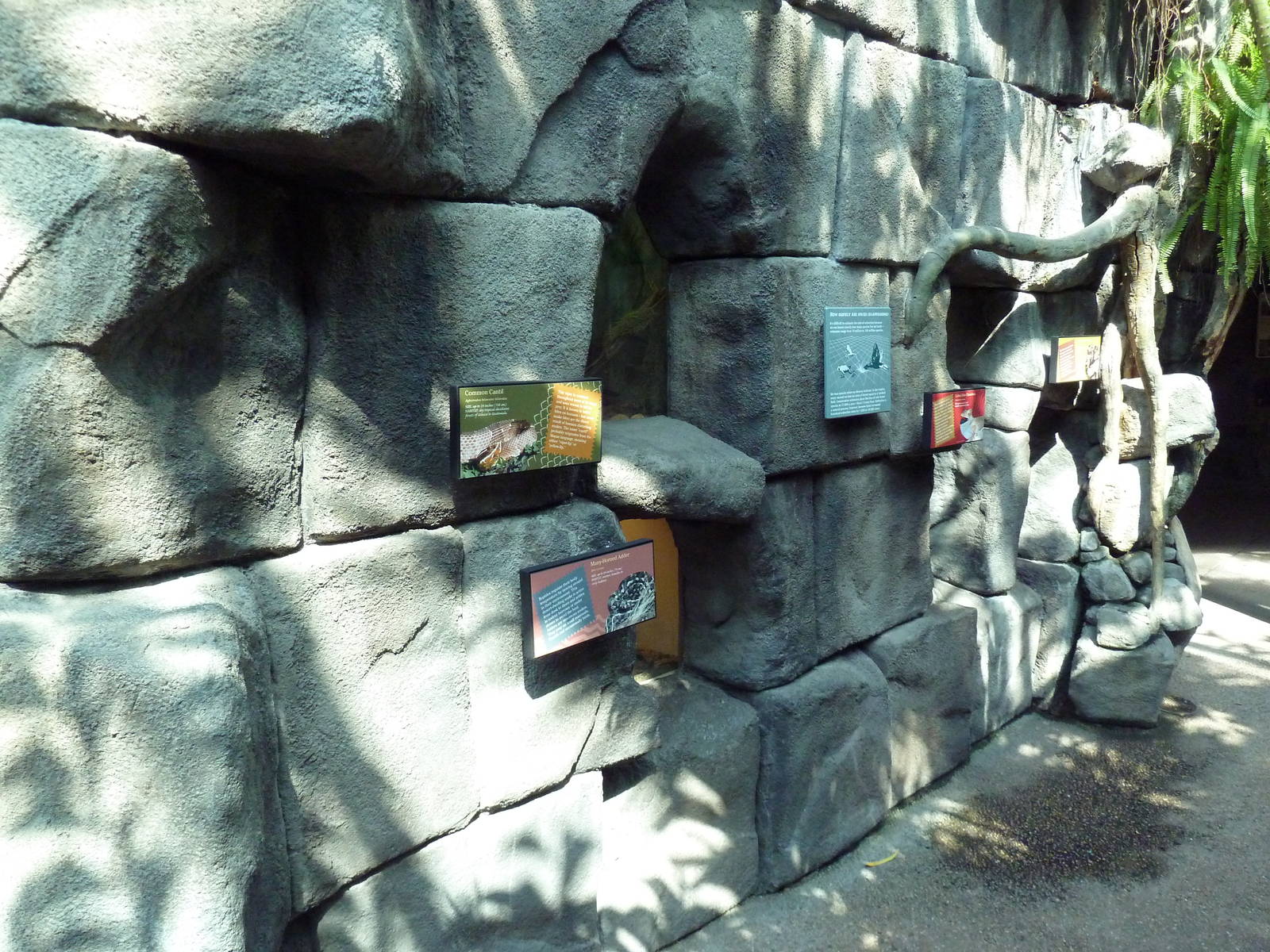 Tropical Discovery - Terrariums