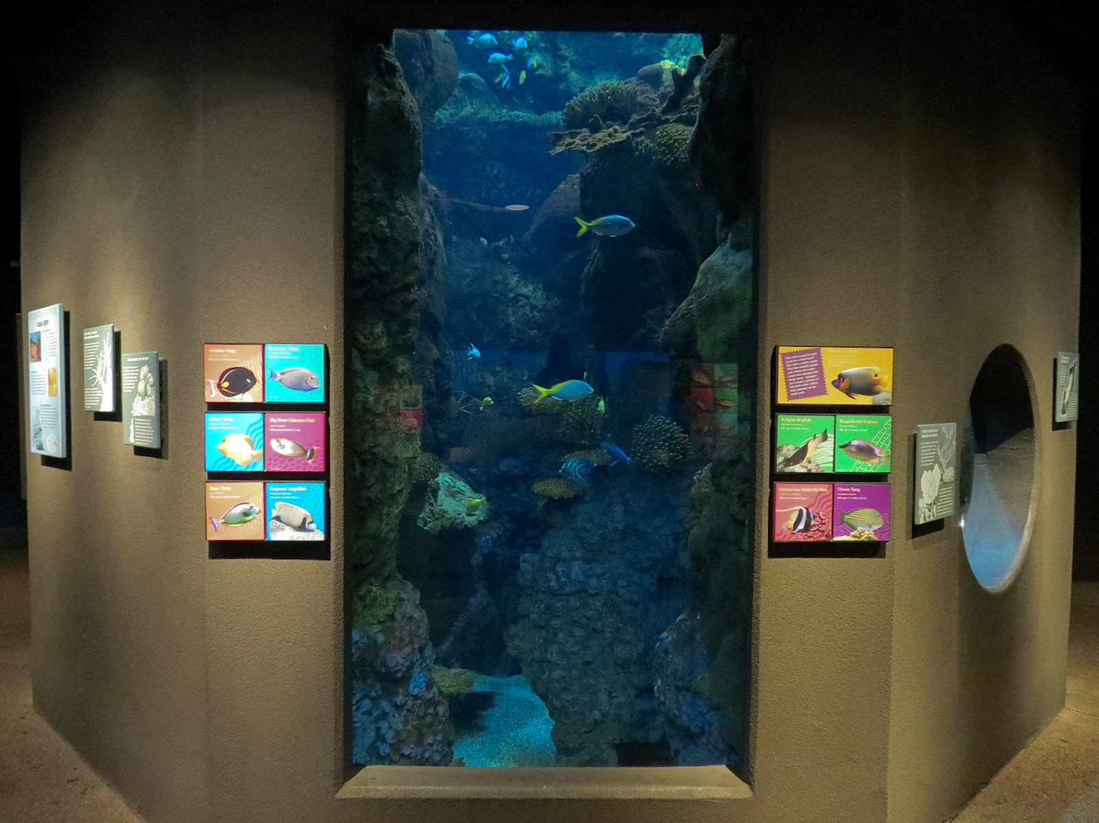 Tropical Discovery - Tropical Reefs Main Exhibit