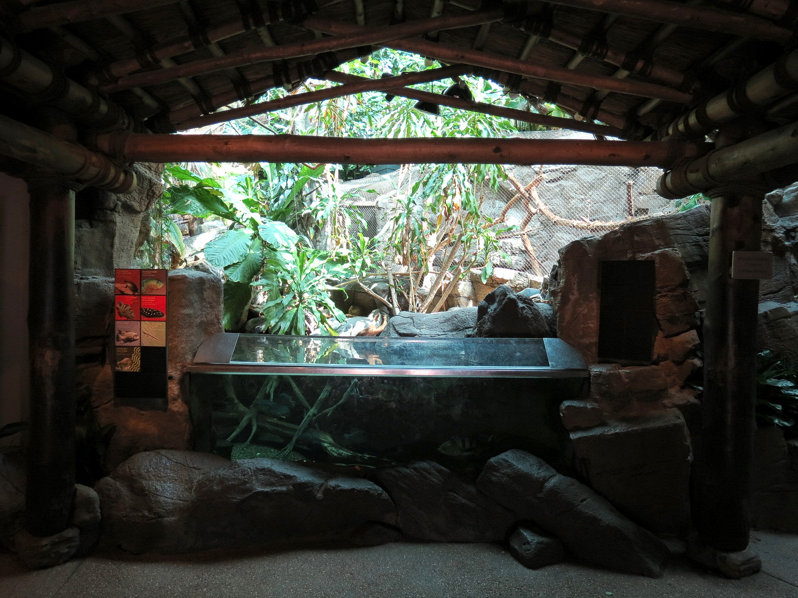 Tropical Discovery - Yellow-spotted Side-necked Turtle and Others Exhibit