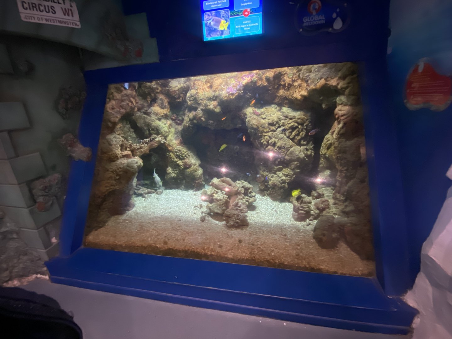 Tropical display 070124