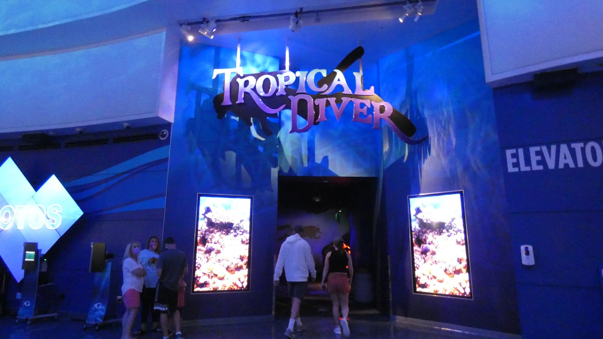 Tropical Diver - Aug. 2021