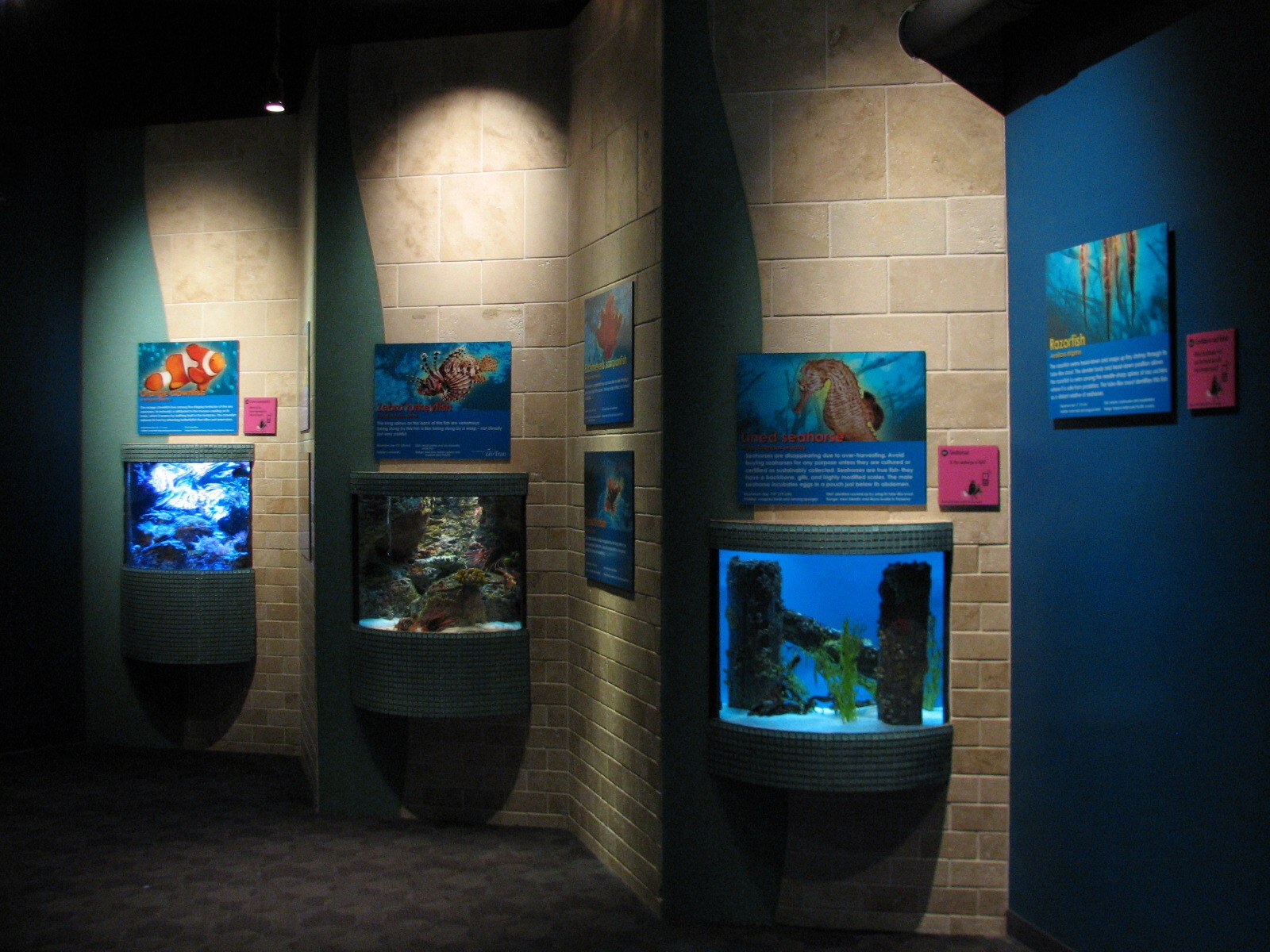 Tropical Diver - Small Tanks