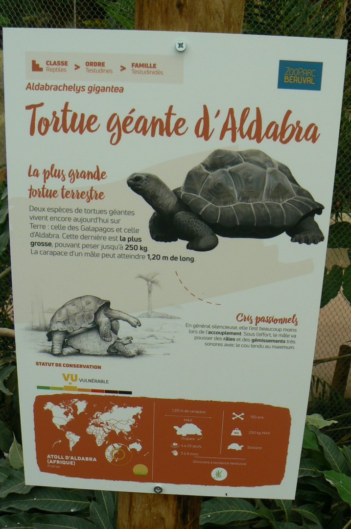 Tropical dome - Aldabra giant tortoise signage
