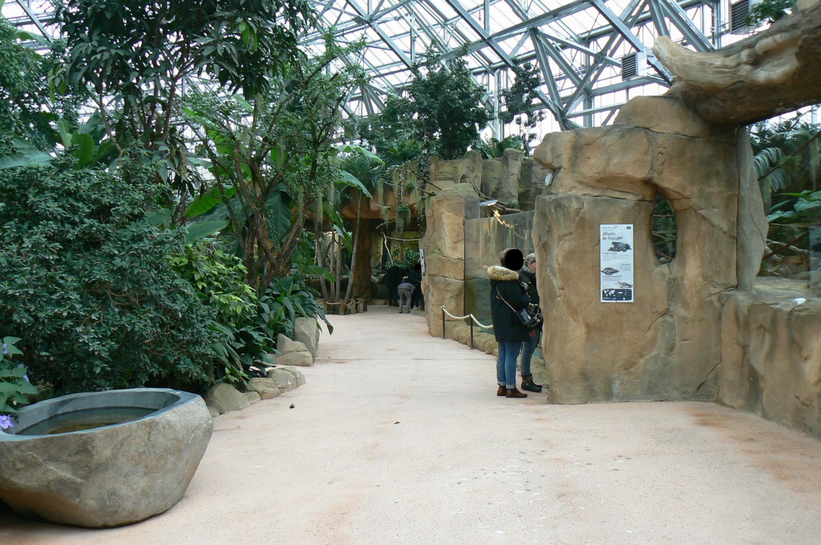 Tropical dome -  American and albino alligators exhibit (on the right)