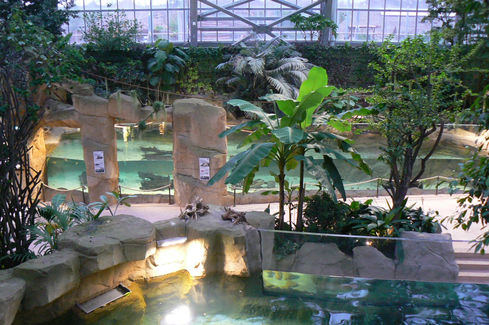 Tropical dome - American and albino alligators exhibit up and giant river otters pool at the bottom