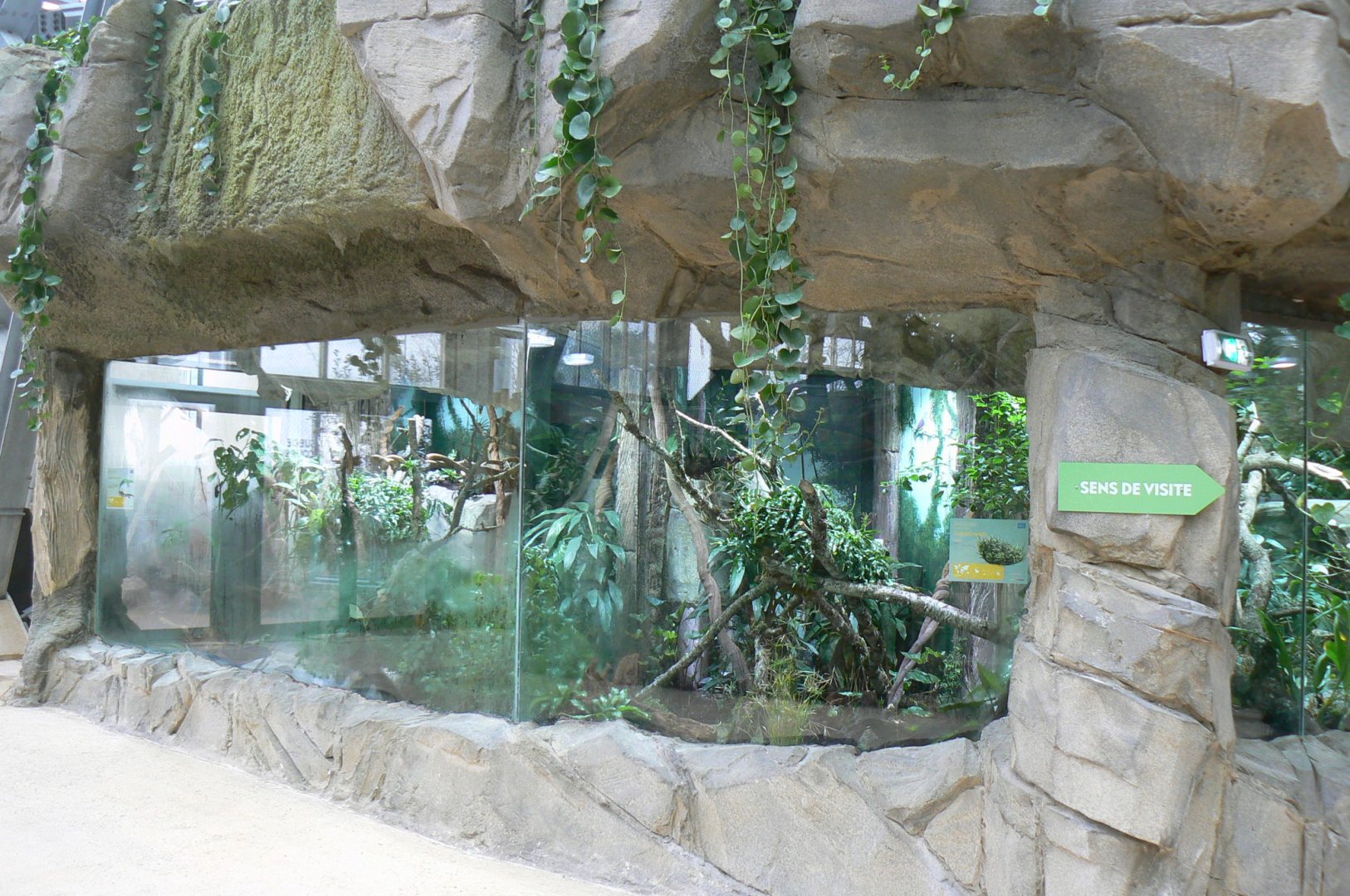 Tropical dome - Asian terrariums