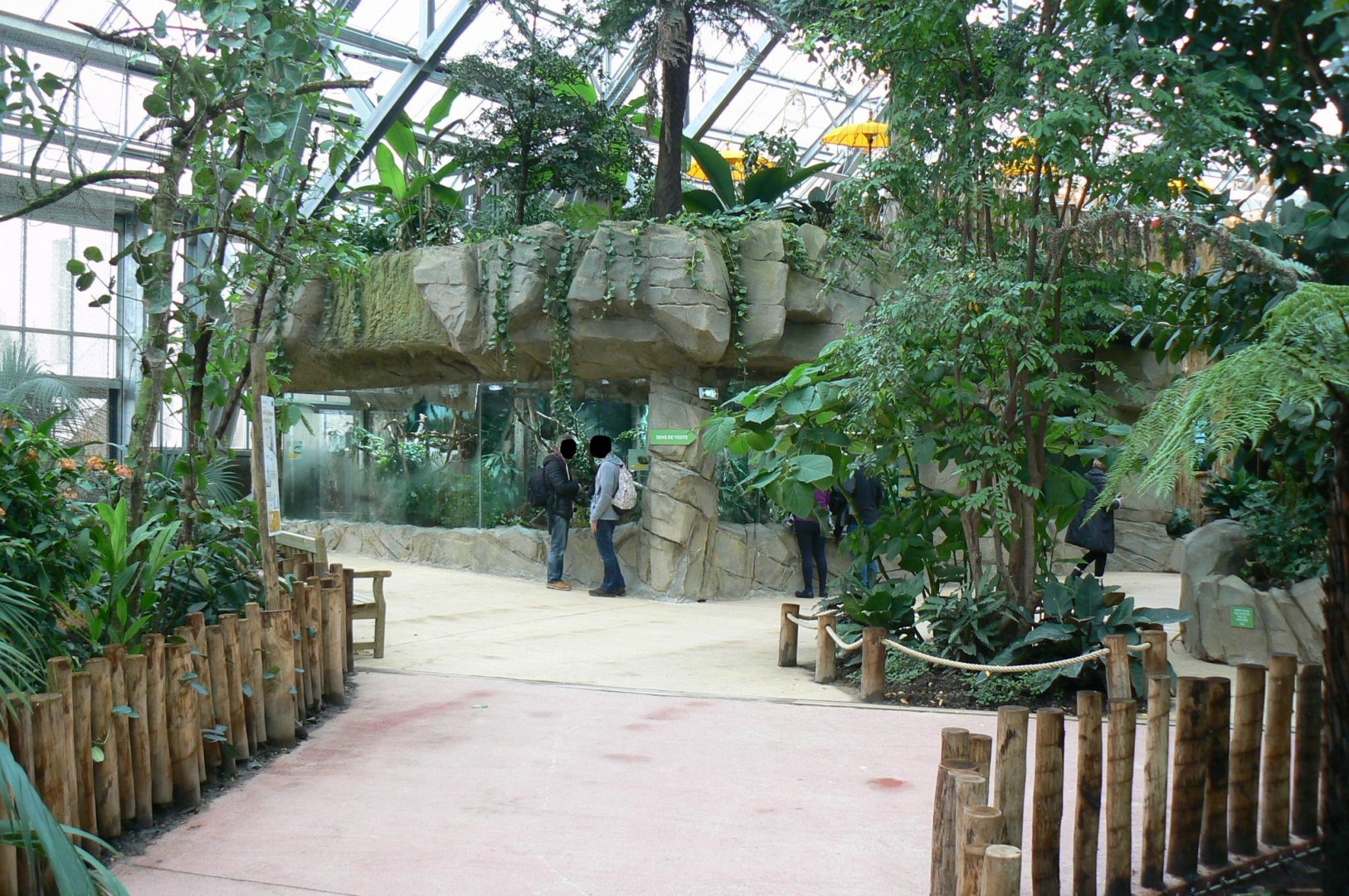 Tropical dome - Asian terrariums