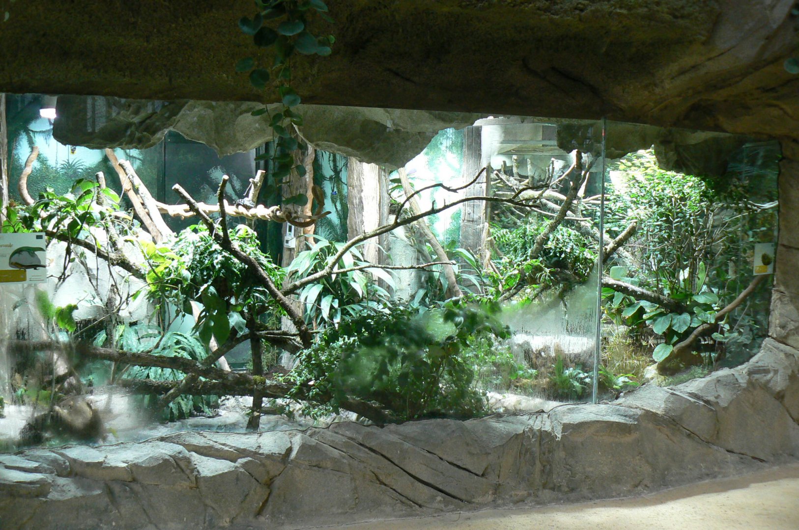 Tropical dome - Asian terrariums