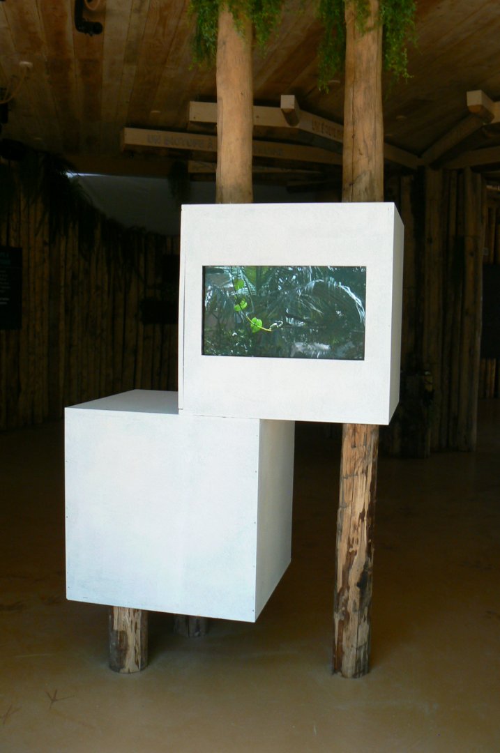 Tropical Dome - Beauval Nature Camp under construction